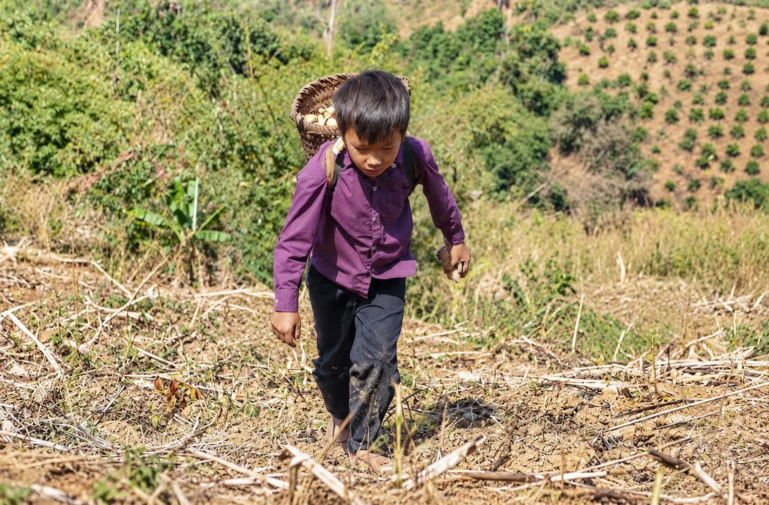 Các em học sinh vùng cao cùng nhau tới trường