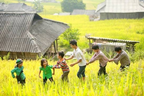 Trẻ em vùng cao trên cánh đồng lúa